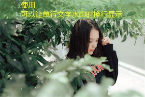 上海登革热疫区的生活现状