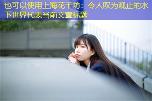 令人叹为观止的水下世界